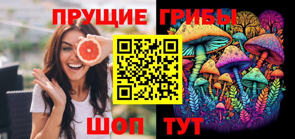 Галлюциногенные грибы Psilocybine cubensis Красноярск