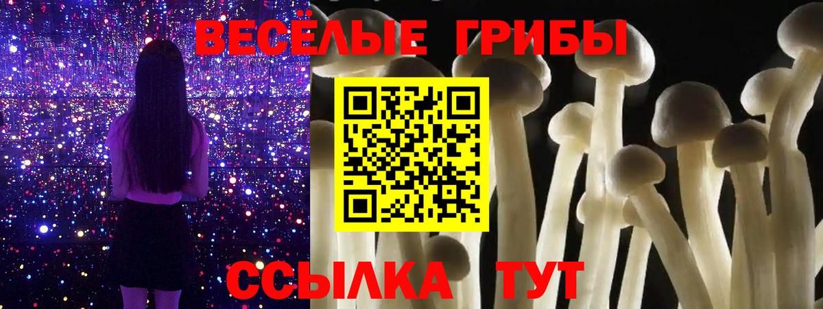 Красноярск  Псилоцибиновые грибы Psilocybine cubensis  Вход с VPN 