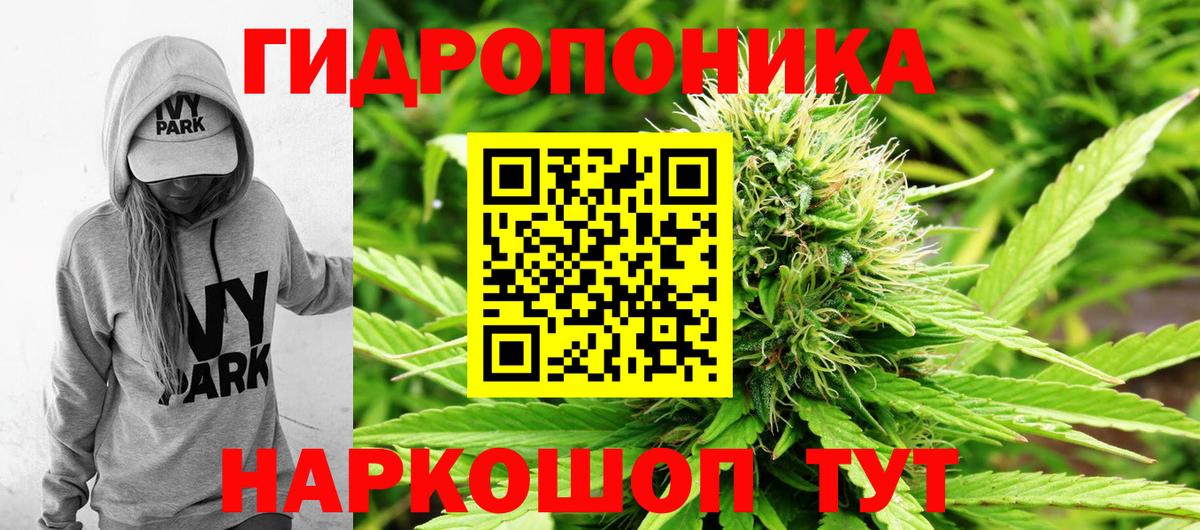 Бошки марихуана индика  Бошки марихуана Amnesia  Вход с VPN  МАРИХУАНА тримм  Красноярск  Каннабис индика 